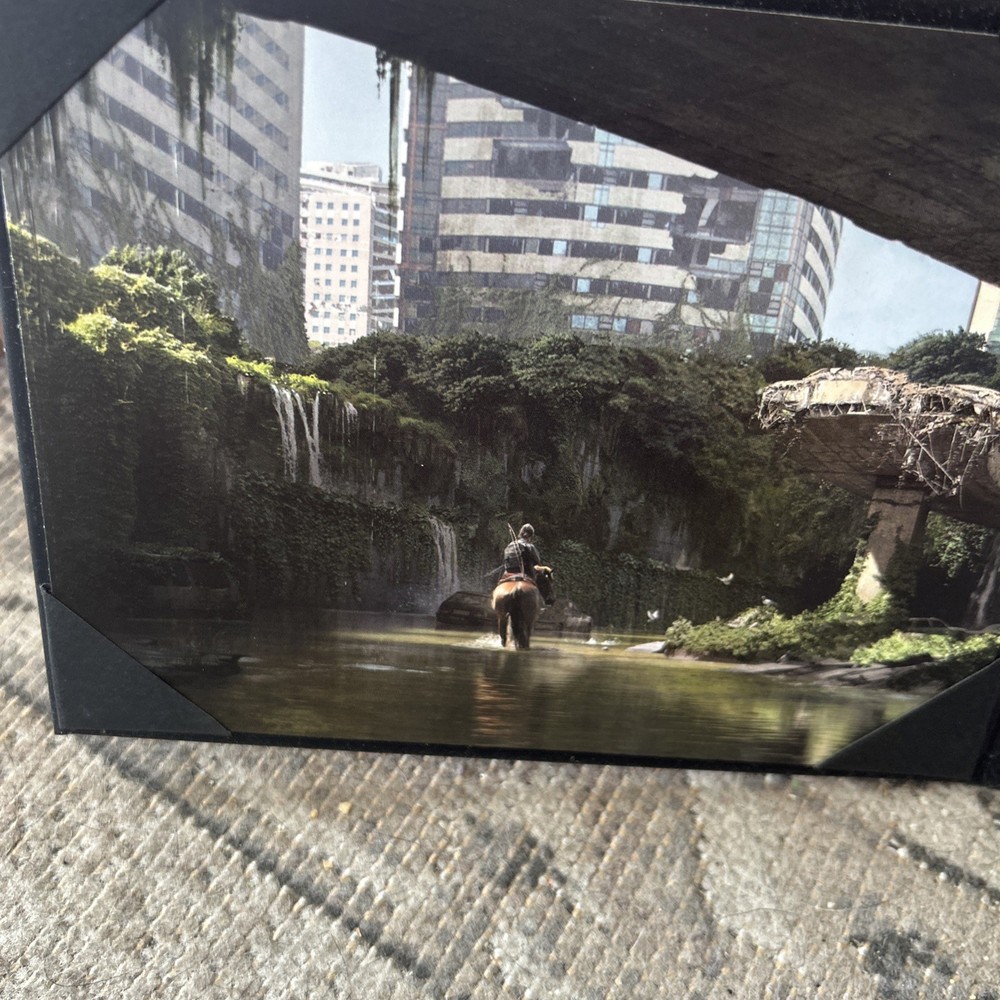 The Last Of Us Part II 2 Collector’s Edition Lithograph Art Print & Outer Sleeve
