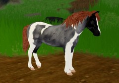 Wild Horse Islands IUH [🤍3 Icey Bundle🤍] ~{PLEASE READ DESC}~
