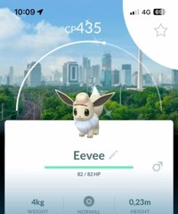 Shiny Eevee Explorer Hat Background Jakarta Indonesia Background – P T C