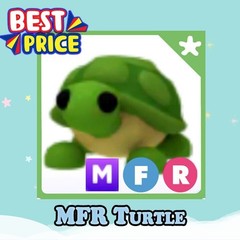 MFR Turtle – Adopt right now