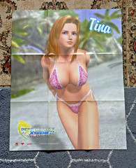 2006 Dead or Alive Xtreme 2 Beach Volleyball Tina Armstrong Poster