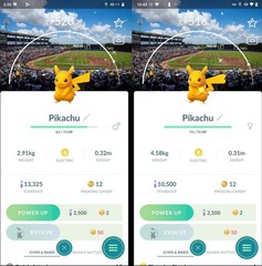 Shiny Pikachu MLB Tampa Bay Rays Baseball Court Background – Trade