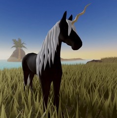 Wild Horse Islands 🌸 Horn Friesian Fri 🌸