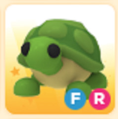 FR Turtle – The Trusted Store!!