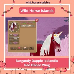Wild Horse Islands – Burgundy Dapple Icelandic Red Gilded Wing