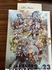 Granblue Fantasy Fes 2023 Brochure Bonus Eternals Transcendence Set LvL140