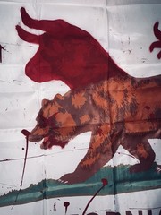 Fallout New Vegas California Republic Flag (Vandalized By Legion) Flag