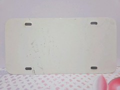 Mario Mario Kart Wii 2008 License Plate