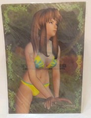 DEAD OR ALIVE Xtreme Beach Volleyball HITOMI Promo Clear File Folder #5 XBOX