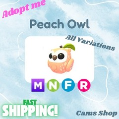 Peach Owl | All Variations No Pot, FR, NFR, Mega, MFR – Adopt From Me Pets