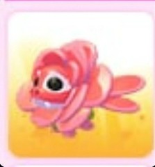Rose Dragon | Adopt Now
