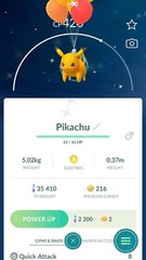 Shiny Flying Pikachu red balloon Okinawa MaIe FemaIe – P T C- Read Description