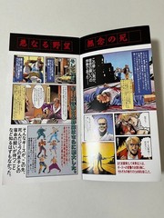 Garou Densetsu (Fatal Fury) SNK Neo Geo MVS Arcade Flyer Booklet Comic Japan