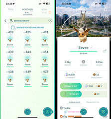 9 Eevee Explorer Hat Background Sao Paulo Brazil -MlNl P T C- Read Description