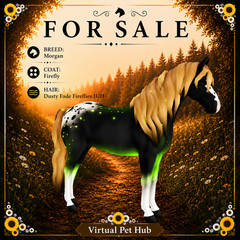 Wild Horse Islands – Morgan IUH – Dusty Fade Fireflies – Firefly Coat – OFFERS –
