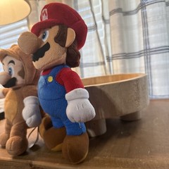 Super Mario 3D Land Raccoon Mario Plush Doll Little Buddy And Mario