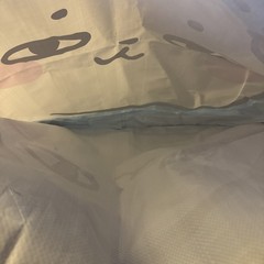 Aniimo Game Demo Large Bag PAX East 2026