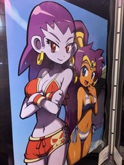 BRAND NEW SHANTAE BIKINIS LIMITED RUN GAME POSTER RISKY REVOLUTION PIRATES CURSE