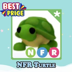 NFR Turtle – Cheap & Trusted Store!!