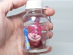 Cheshire Cat Alice in Wonderland Chara Bottlin Keychain Figure Disney Japan 3.3″