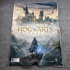 Hogwarts Legacy Cloth Fabric Poster 24in x 33 in Gamestop