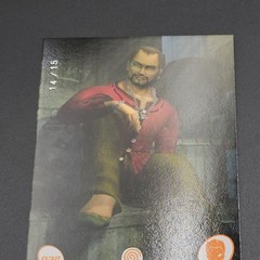 Shenmue Sega Dreamcast Trading Cards Terry Ryan #032 Only 15 Made Numbered #d