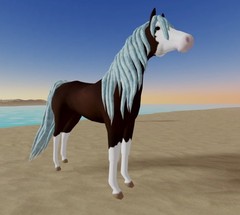Wild Horse Islands 🌸 Iuh Arab Arabian Bay Sabino Rare C Icey Blue 🌸