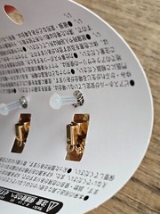 Pokemon Center Eevee Ring + Earring Set Prismatic Evolutions Japan Exclusive