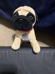 Nintendo Nintendog Pug Plush Stuffed Animal Talking Sound 2008 DS Works