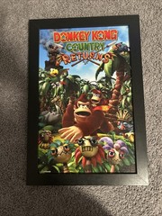 Donkey Kong Country Returns Framed Poster 13×19 NINTENDO PYRAMID