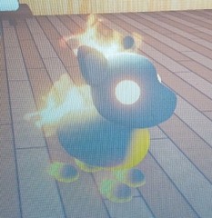 Fire Stallion Roblox Adot Me Pet