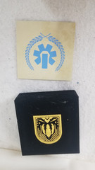 Destiny 2 Warden Seal Pin Bungie Rewards Medallion RARE RETIRED