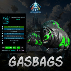 Ark-Survival-Ascended-PvE-Top-Stat-Gasbags-Pairs-Bundles-Lvl 362-BusyBee