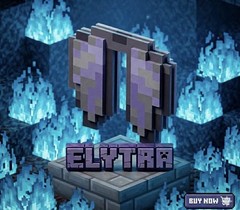 🔵 DonutSMP 💎 Elytra ✅ Cheapest & Fast Delivery┃Minecraft Donut SMP 🍩