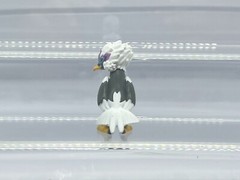 Pokemon MonColle Box Braviary Warrgle (Hisuian) Figure T-ARTS G234