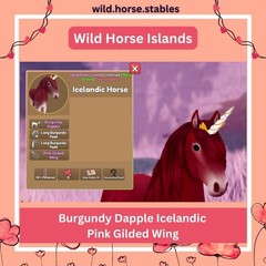 Wild Horse Islands – Burgundy Dapple Icelandic Pink Gilded Wing