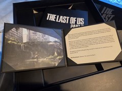 The Last of Us Part II – Ellie Hand Painted Statue With Inclusive Set (See Pix)