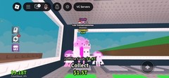 240M/S LOS COMBINATIONS. MUTATIONS: CANDY, INDONESIA, BUBBLE GUM, GATTANINO CAT
