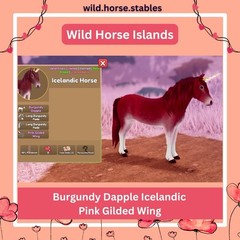 Wild Horse Islands – Burgundy Dapple Icelandic Pink Gilded Wing
