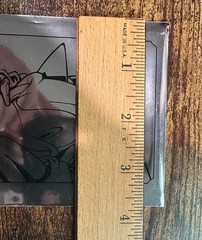 Sonic The Hedgehog Holo Ticket (ROUGE) Sonic Stadium Hong Kong 35th Anniversary