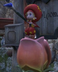 FINAL FANTASY XIV “Mamet Relm” Serial Code FF14