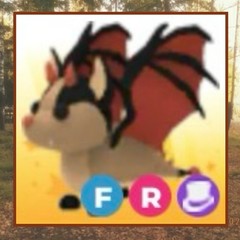 FR Bat Dragon – Adopt now !