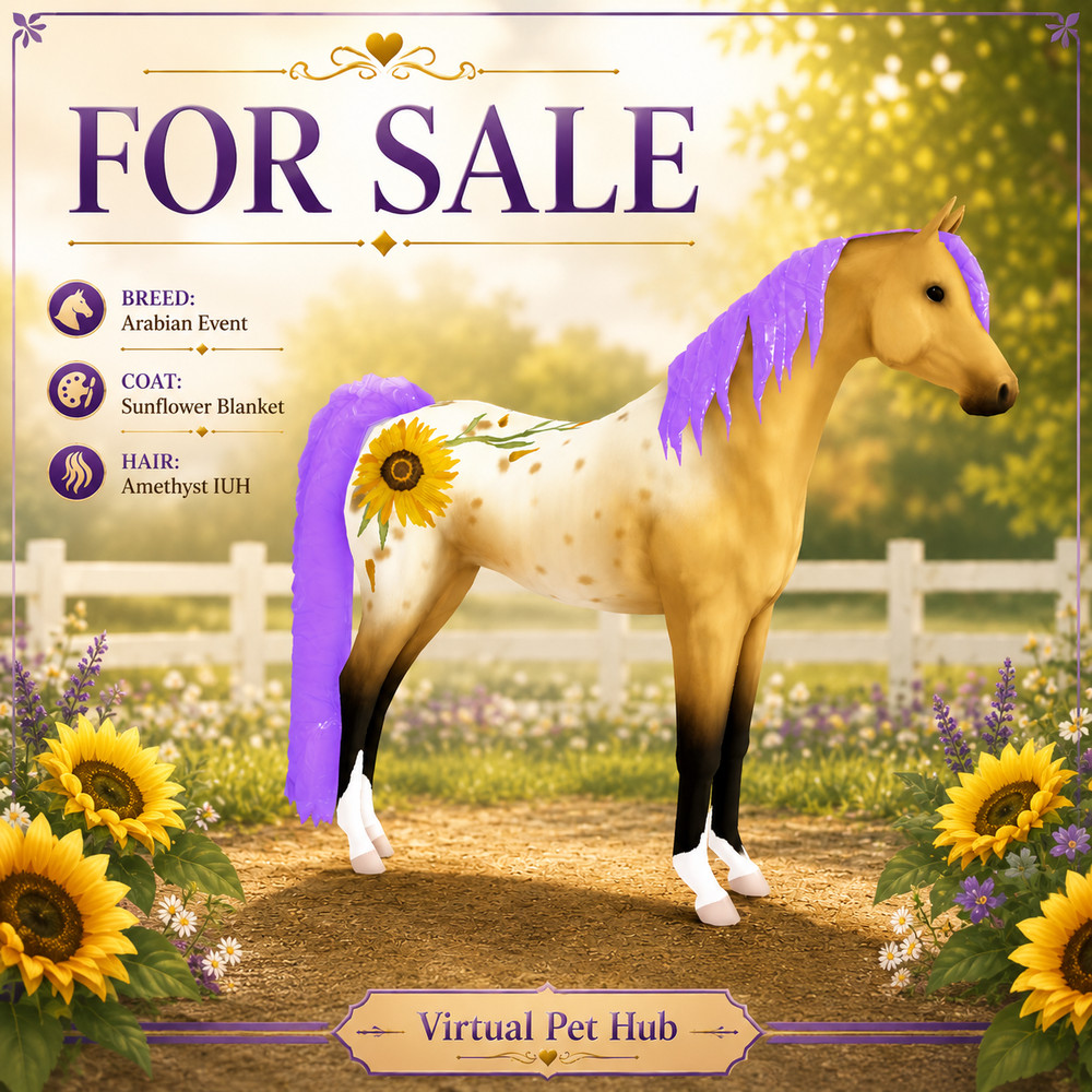 Wild Horse Islands – Arabian Event 25 IUH – Amethyst – Sunflower Coat –