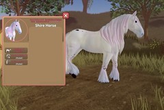 Wild Horse Islands 🌸 IUH Pastel Streaks And Mother Of Pearl Coat Shire 🌸 Pure