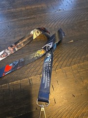 Hedron PAX East 2026 Lanyard Indie Gamers (Buy Multiple For Discount)