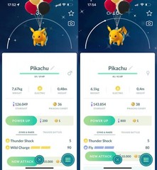 Shiny Black Balloon Flying Pikachu MaIe FemaIe – P T C – Read Description