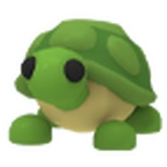 Turtle | Adopt Right Now