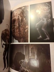NEW Resident Evil VIII VILLAGE Artbook & Cloth Map of the game Book of Art