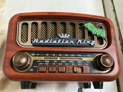 Fallout Radiation King Nuka Cola Moth Man round top radio, real working fan art