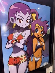 BRAND NEW SHANTAE BIKINIS LIMITED RUN GAME POSTER RISKY REVOLUTION PIRATES CURSE